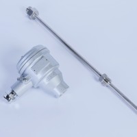 Capteur thermique PT100 RTD de base, OEM personnalisé, en acier inoxydable, étanche, résistant aux chocs, haute précision, conception avancée