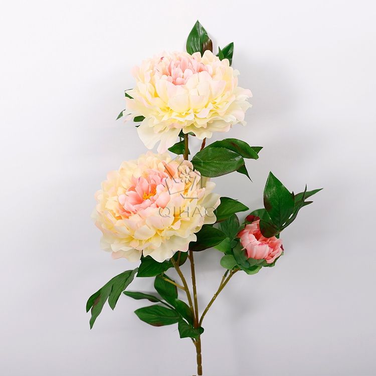 เหลือง&amp;ชมพู