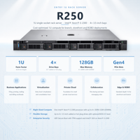 Serveur Rack R250 d'occasion 1U, processeur unique, stockage d'entreprise avec SSD NVMe, disques durs SAS et SATA, échange à chaud