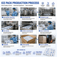 Paquete de Hielo Activado por Agua de Gran Tamaño, Reutilizable, para Envío en Cadena de Frío, Fábrica OEM