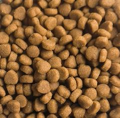 Oem odm סיני מחיר נמוך כלב מזון מזון מגוון טעמים צורות מרובות מזון כלבים למבוגרים יבש - Product Image 2