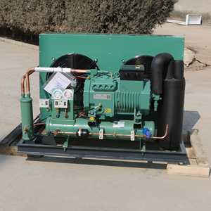 Equipo de condensación de voltaje personalizado Bitze R404a industrial con compresor de pistón 4VES-10Y 4CES-9Y - Product Image 6