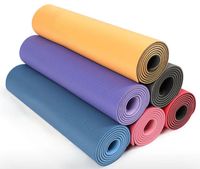 Vente en gros, logo personnalisé, ensemble de Pilates recyclé portable, tapis de yoga en TPE écologique avec ligne de corps