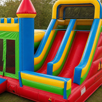 Structure gonflable pour enfants de taille commerciale, combinant aire de saut intérieure et extérieure, avec toboggan aquatique et sec en PVC
