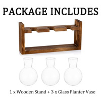 Décoration intérieure pour la maison, station de propagation de plantes aériennes en verre, pot hydroponique, vase à bulbes de fleurs, écologique