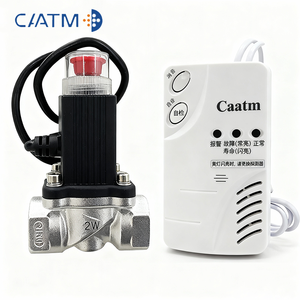 كاشف غاز الميثان الذكي CAATM JT-CA319N بتقنية 4G مع نظام إنذار وصمام كهربائي 6-12 فولت، جهاز كشف تسرب الغاز للأمن المنزلي - Product Image 2