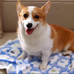 ผ้าห่มขนแกะปะการังสำหรับสุนัขผ้าห่มขนนุ่มแบบซักได้สำหรับสุนัขกลางแจ้งในร่ม - Product Image 6