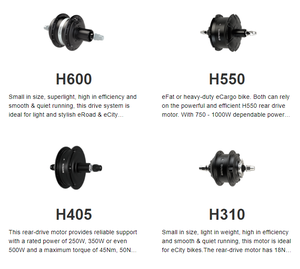 <span class=keywords><strong>Kit</strong></span> de conversion de vélo électrique 48V 1000W 26 pouces <span class=keywords><strong>Roue</strong></span> avant/arrière Moteur puissant <span class=keywords><strong>Kit</strong></span> de conversion de vélo électrique <span class=keywords><strong>Kit</strong></span> de moteur <span class=keywords><strong>Bafang</strong></span> H720 H710 - Product Image 4