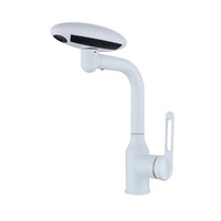 Robinet en acier inoxydable chromé à montage sur plan avec douchette cascade pour lavabo, universel pour eau chaude et froide