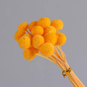 20 pièces/lot Fleurs <span class=keywords><strong>de</strong></span> bouton séchées naturelles colorées DIY Arrangements floraux Diplôme Fleurs réelles conservées longue durée - Product Image 3