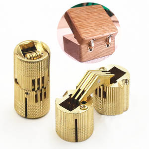 <span class=keywords><strong>Bisagra</strong></span> cilíndrica <span class=keywords><strong>oculta</strong></span> de barril invisible, pequeña, de latón, de 180 grados, para joyería artesanal, VT-261 - Product Image 1