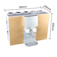 Purificateur d'eau domestique pratique froid et chaud tout-en-un Filtration en 5 étapes Machine à boire directe Conception de comptoir