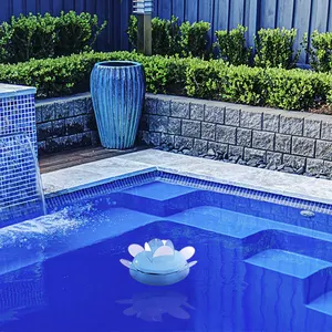 BONNY Piscina Pájaro Susto Gaviotas Palomas Cuervos Dispositivos de miedo de pájaros anti palomas - Product Image 2