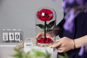 Rosas Cristalinas Transparentes Preservadas, Rosas Eternas Reales, Infinitas, Rosas Eternas Preservadas en Cúpula de Cristal - Product Image 3