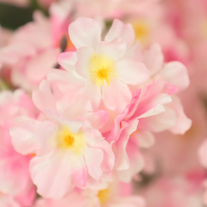 Pianta di fiore della decorazione esterna del <span class=keywords><strong>giardino</strong></span> di alta qualità all'ingrosso <span class=keywords><strong>con</strong></span> l'<span class=keywords><strong>albero</strong></span> artificiale del fiore di ciliegio del fiore - Product Image 6