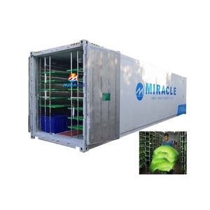 Máquina <span class=keywords><strong>de</strong></span> Cultivo Hidropónico <span class=keywords><strong>de</strong></span> Forraje <span class=keywords><strong>de</strong></span> <span class=keywords><strong>Pasto</strong></span>, <span class=keywords><strong>Semillas</strong></span> <span class=keywords><strong>de</strong></span> <span class=keywords><strong>Pasto</strong></span> <span class=keywords><strong>de</strong></span> Trigo <span class=keywords><strong>para</strong></span> Forraje - Product Image 3