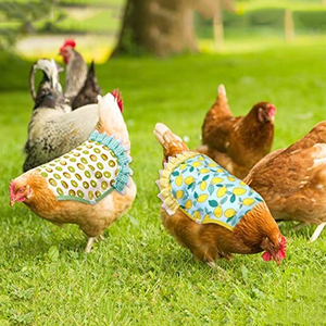 ผ้าคลุมปีกไก่แบบยืดหยุ่น ป้องกันขนปีก ปรับ<span class=keywords><strong>ขน</strong></span>าดได้ ชุดสำหรับสัตว์เลี้ยง <span class=keywords><strong>นก</strong></span> ไก่ ชุดปีกไก่ ผ้าคลุมปีก<span class=keywords><strong>ส</strong></span>ัตว์ปีก - Product Image 6