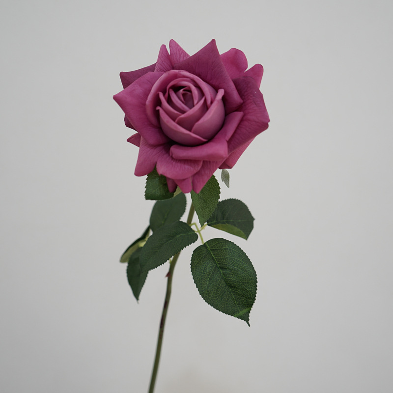 dark purple