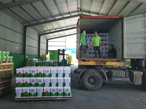 Eccellente 750ml Poliuretano Espansione Schiuma Ad Alta Legame DELL'UNITÀ di elaborazione A Spruzzo di Schiuma - Product Image 6