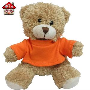 Orsacchiotto di Peluche Personalizzato con Logo Ricamato, Imbottitura in Cotone PP, Super Morbido, Regalo per Laurea e Anniversario - Product Image 1