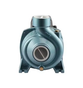 ปั๊มแรงเหวี่ยงอุตสาหกรรม 220V 1.5KW ขนาดใหญ่, ปั๊มเพิ่มแรงดันสูงสำหรับอุปกรณ์เพาะเลี้ยงสัตว์น้ำ - Product Image 6