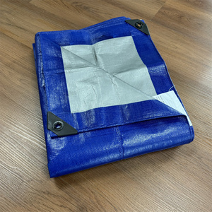 Rollo de Lona Recubierta de PE en 3 Colores, de 1 a 10 m de Ancho, Impermeable, Anti-UV, Resistente a Desgarros, <span class=keywords><strong>para</strong></span> <span class=keywords><strong>Niñas</strong></span>, Buena Calidad, Precio Económico - Product Image 1