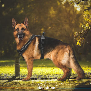 小型中型および大型犬用のハンドル付きの快適で安全なチョークフリーの調整可能なプルドッグハーネス - Product Image 5