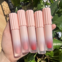 Gloss à lèvres rose à haute pigmentation, personnalisé, non collant, maquillage végétalien, hydratant, repulpant, tubes vides