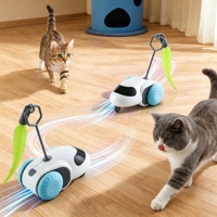 Jouet pour chat télécommandé à piles avec lumière clignotante et queue à plumes interchangeable pour stimuler l'instinct de chasse