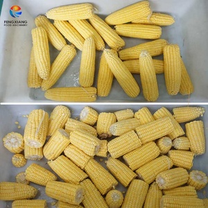 Machine de lavage, blanchiment et séchage de maïs frais et de maïs sucré, fournie directement par l'usine - Product Image 5