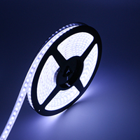 Lampu Strip LED Tahan Air IP68 12v Smd 2835 6000K Kualitas Grosir
