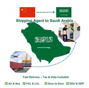 Agente de Envío DDP Amazon FBA de China a Europa, España, Portugal, Medio Oriente, Arabia Saudita, Dubái, Transporte Aéreo y Marítimo DDP - Product Image 1