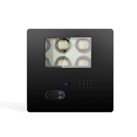 Serrure numérique Porte en acier personnalisable Boîte de rangement pour montre Boîte de rangement pour montre Remontoir Coffre-fort