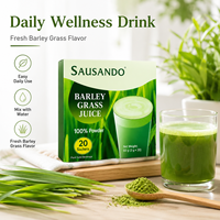 Poudre de jus d'herbe d'orge végétalienne, superaliment vert, boisson détox naturelle à base de plantes, nutrition quotidienne, boisson santé, supplément OEM ODM