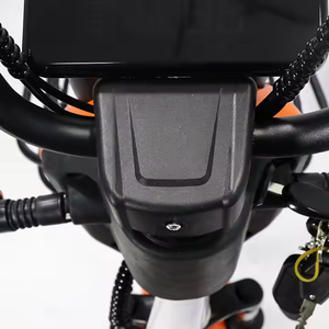 Dành cho người lớn nóng bán xe đạp điện Ebike với 350W động cơ 48V xe ô tô điện - Product Image 4