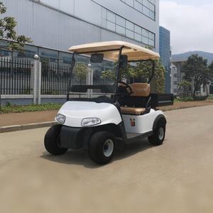 Neumáticos para Carritos de Golf para Lugares Turísticos, 1.5KW 3KW 5KW, Vehículos de Nueva Energía, Económicos, Eléctricos, para Adultos, 4 Ruedas, <span class=keywords><strong>4X4</strong></span> - Product Image 4