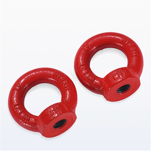 Tuercas de elevación con anillo de acero inoxidable A2 DIN582 M5 M6 M8 M10 M12 M14 M16 M18 M20 <span class=keywords><strong>M22</strong></span> M24 - Product Image 6