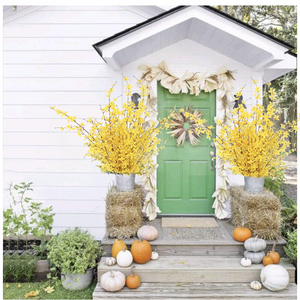 Gelsomino invernale simulazione falso-fiore casa salotto tavolo da pranzo TV armadio arredamento fiore decorativo fiori secchi - Product Image 3