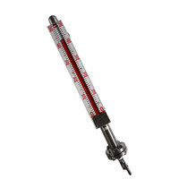 Indicateur de niveau magnétique personnalisé pour la mesure de la corrosivité et du niveau de liquide de production, pour fûts et réservoirs