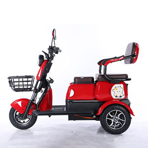 SANMAZI EEC 3 tekerlekli elektrikli üç tekerlekli bisiklet 60V 72V 650W yüksek kalite açık vücut yolcu yetişkinler için uzun pil ömrü düşük fiyat - Product Image 2