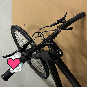 Vélo de <span class=keywords><strong>Gravel</strong></span> en Carbone TWITTER Factory Wholesale V1 12 Vitesses 700*38C pour Hommes et Femmes - Product Image 2