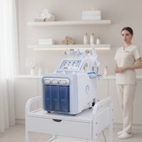 Appareil de microdermabrasion pour soins du visage, taches pigmentaires, hydratation intense, lifting, raffermissement, machine de soin du visage Jet Peel