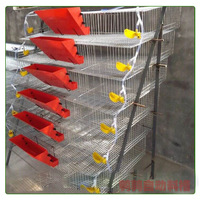 Mangeoire automatique anti-gaspillage pour cailles et pigeons |   Mangeoire en PP de qualité alimentaire à fixation sur cage pour l'élevage avicole multi-niveaux
