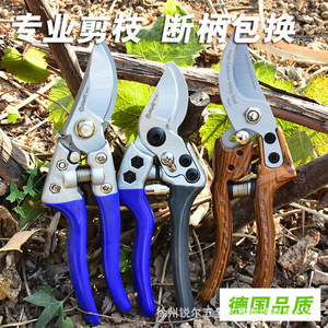 Ruier Garden Shears Stainless Steel Bypass Pruner 20-30 Mm Blue Butterfly Design For Tree Flower Fruit Trimming - Product Image 2