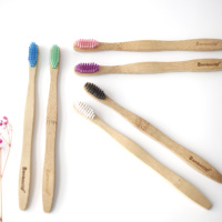 Brosse avec brosse à dents en bambou avec poils à base de plantes-Paquet de 4