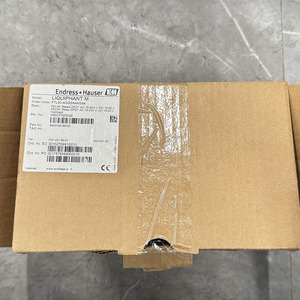 Interruptor de nivel de horquilla vibratoria E+H FTL50 para detección industrial Endress+Hauser Liquiphant T FTL50 Endress+Hauser FTL50 E+H FTL50 Liq - Product Image 6