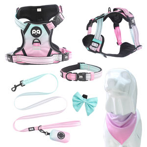 Arnés de Diseño para Perro con Logotipo Personalizado, Alta Calidad, Neopreno, Terciopelo, Ajustable, Antitirones, Conjunto de Arnés y Correa de Lujo para Perro - Product Image 1