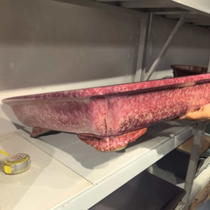 Maceta de Bonsái Hecha a Mano de Alta Calidad, Tamaño XXL, de Arcilla Morada Yixing Esmaltada en Rosa Nieve, con Patas de Nube - Product Image 5