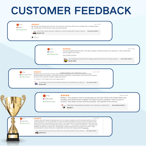 ผู้ให้บริการขนส่งทางทะเลมืออาชีพ จีนไปอเมริกา แบบ DDP ส่งถึงหน้าประตู รวมค่าพิธีการศุลกากร ผู้จัดจำหน่ายทองคำของอาลีบาบา - Product Image 5