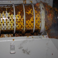 Nieuwe palmolieverwerkingsmachine met een capaciteit van 500 kg/uur, palmolie-expeller, palmvruchtenpers, energiebesparend, hoge kwaliteit